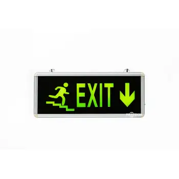 Emergency Exit Sing DOWNSTAIRS primary image