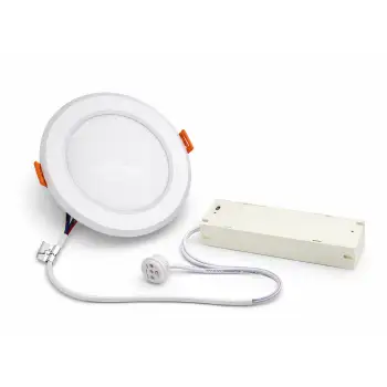 LT-49219 Emergency Down Light primary image