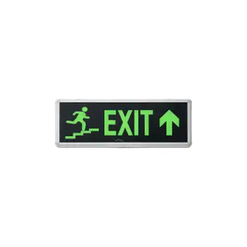 LED Emergency Exit Sing (Stairs Symbol) primary image